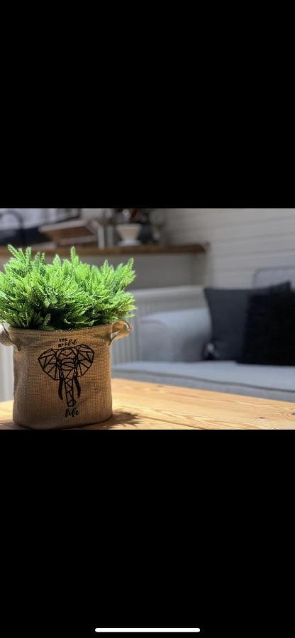 Minihane Sapanca Esterno foto
